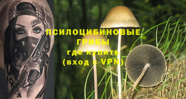 mdma Новодвинск