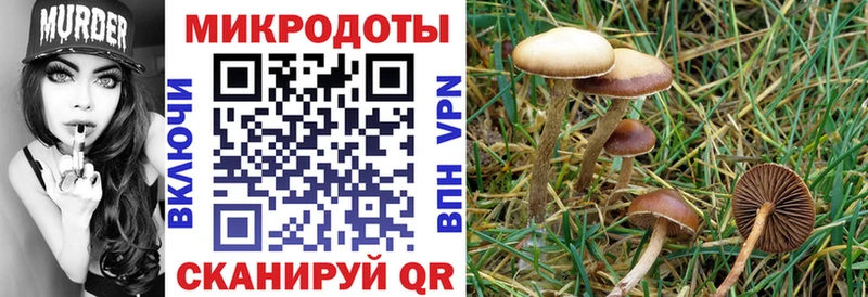 это телеграм  Балахна  Псилоцибиновые грибы мухоморы 
